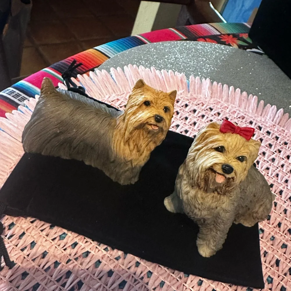 2 Yorkies by Cartagena of Italy
